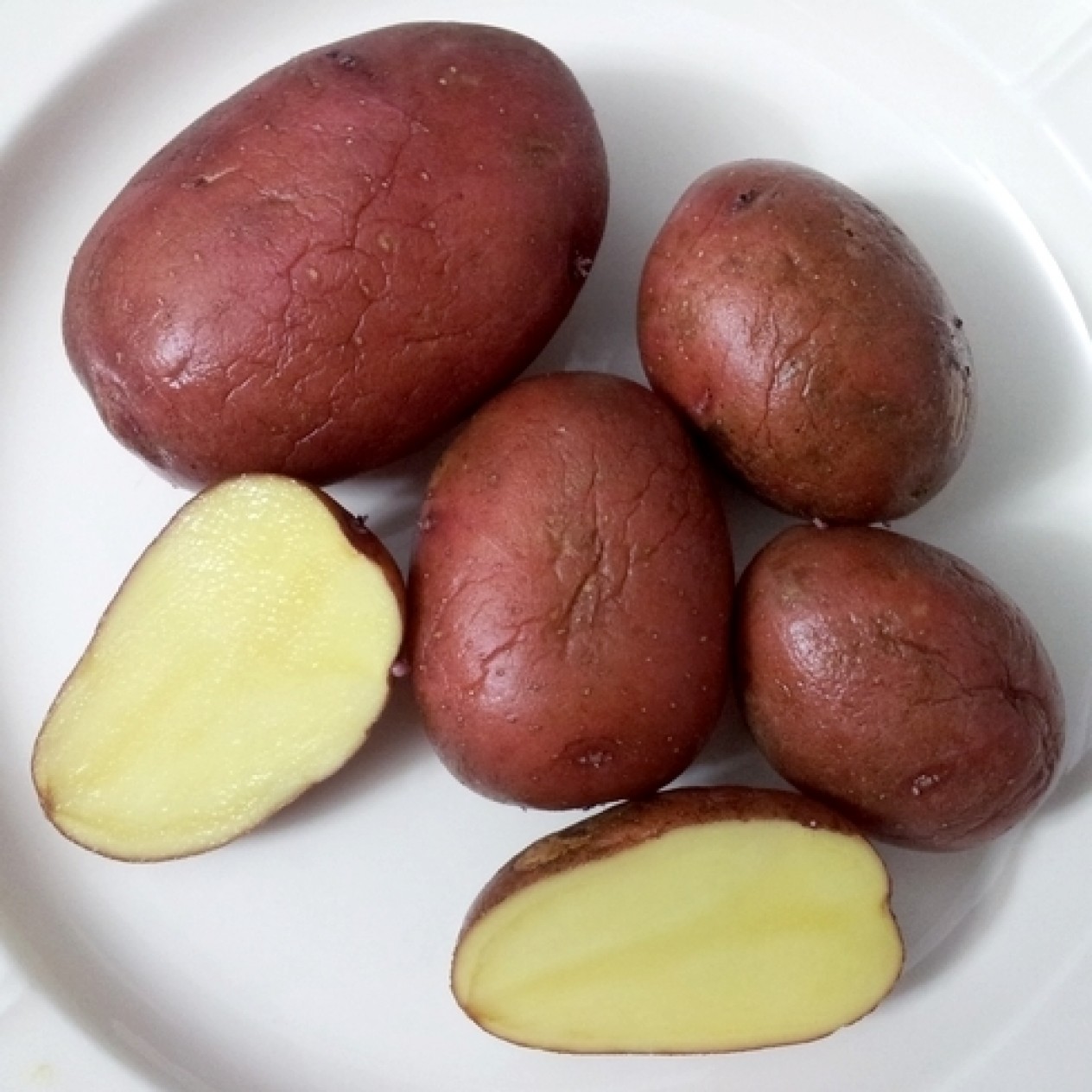 406020-aardappels-burkys-rote