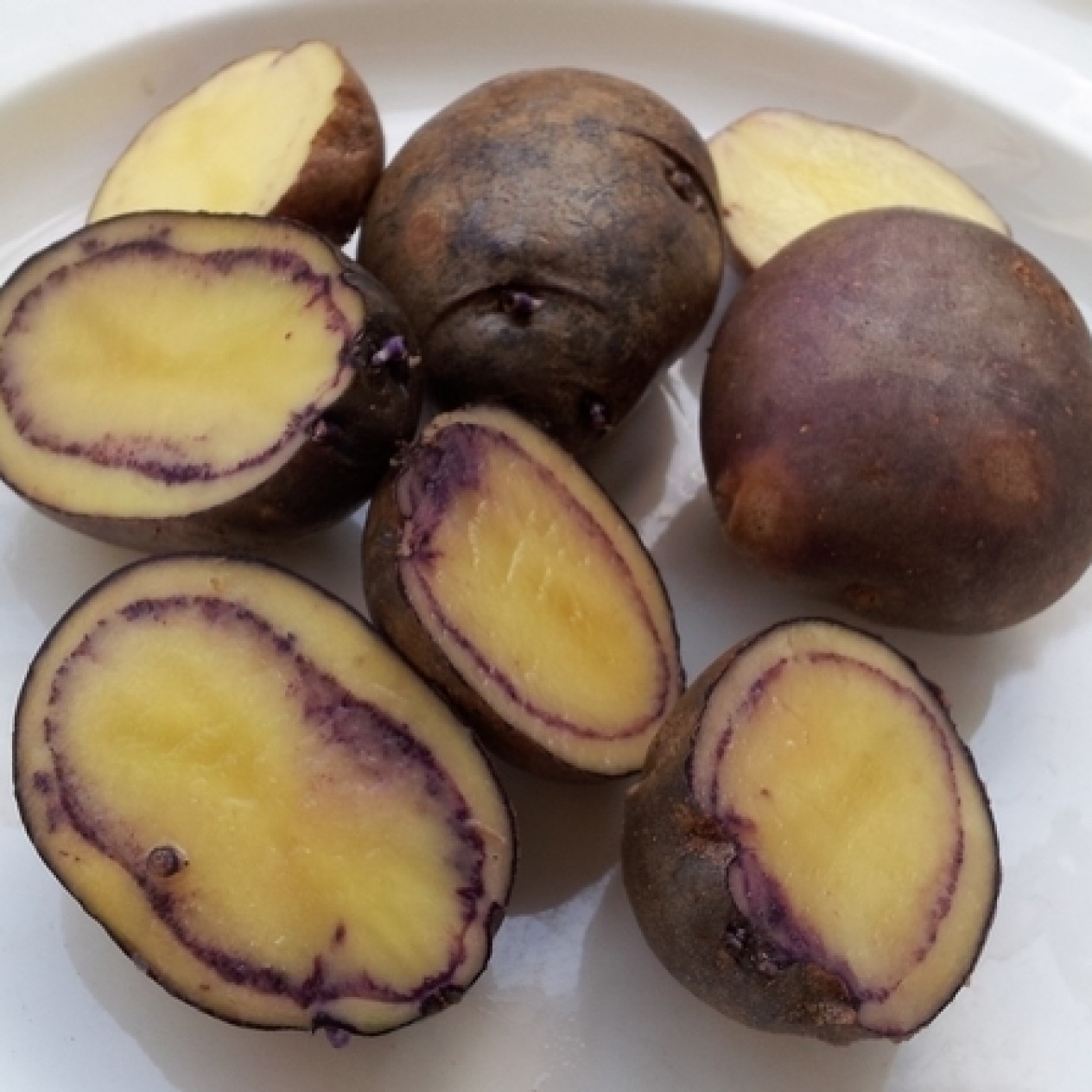 407731-aardappels-muru