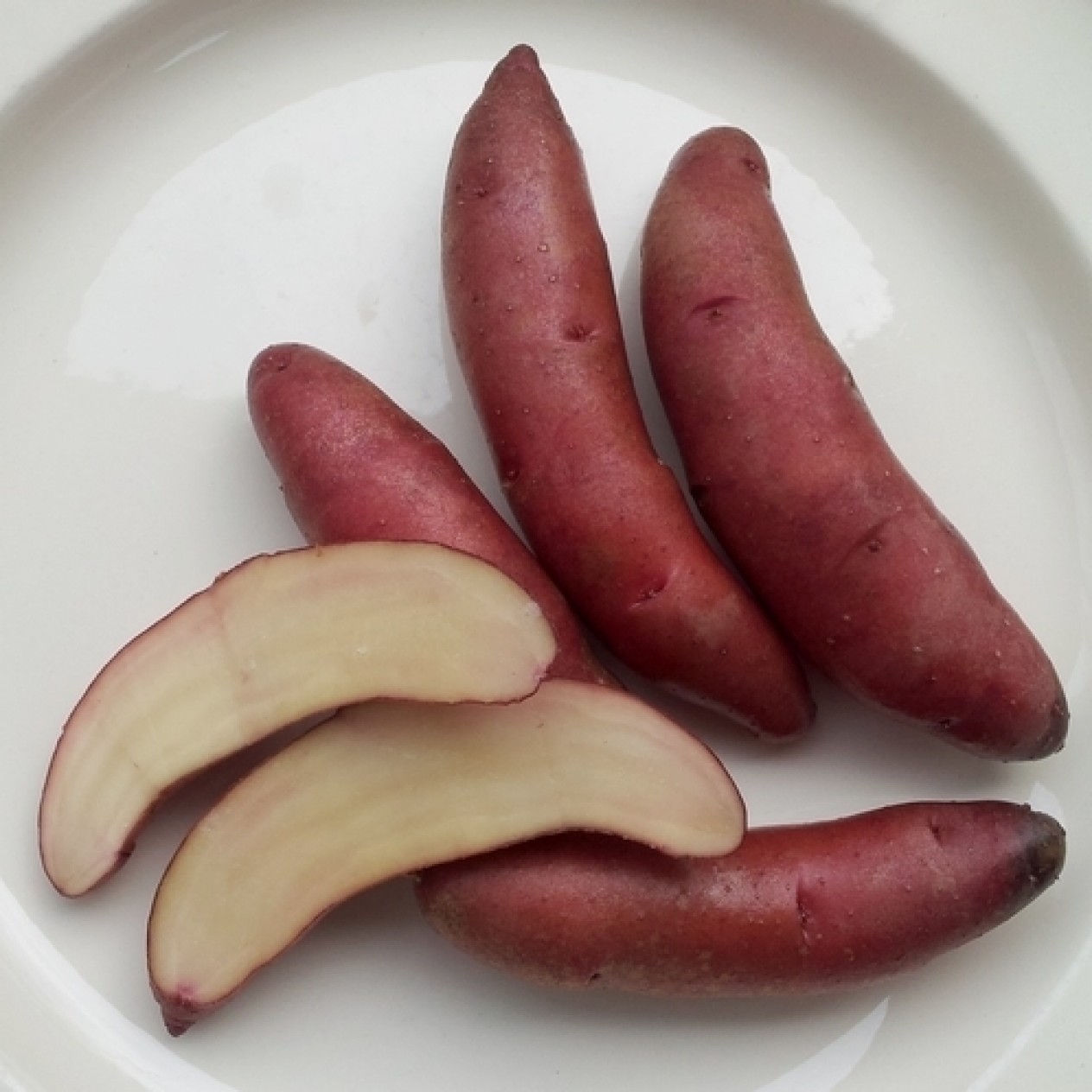 407733-aardappels-papa-cacho
