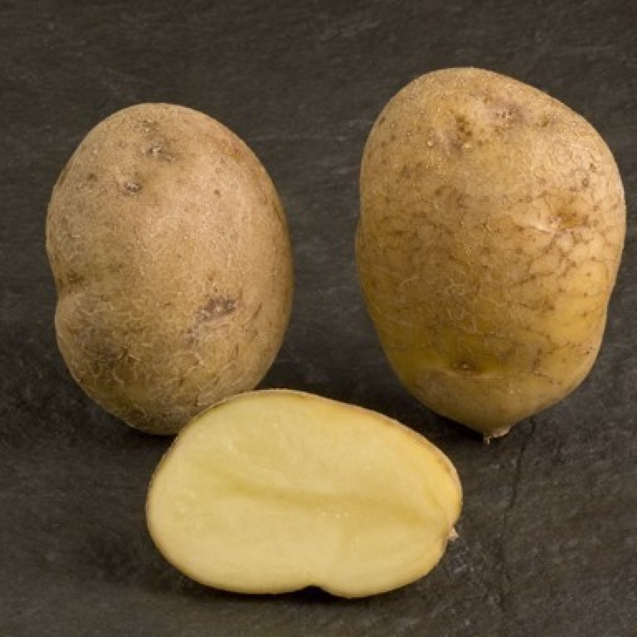407800-aardappels-record