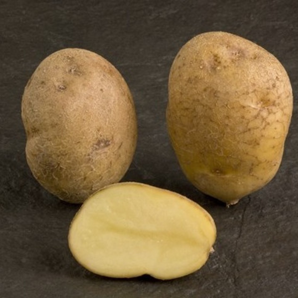 407801-aardappels-record