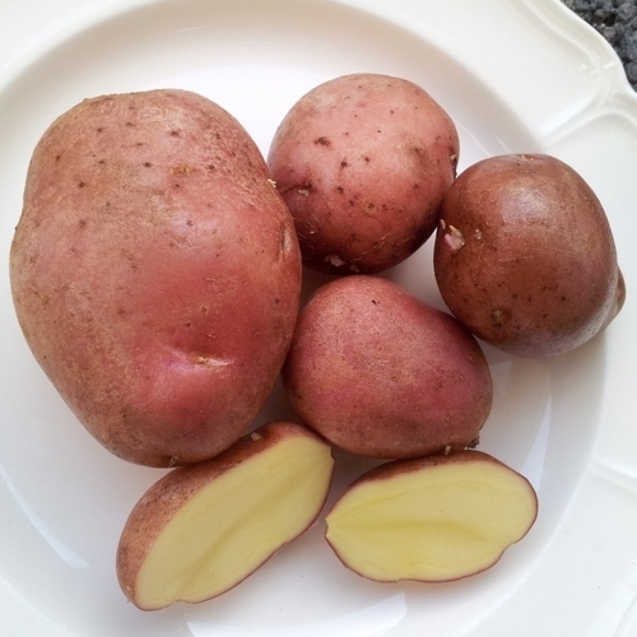 407890-aardappels-red-algonquin