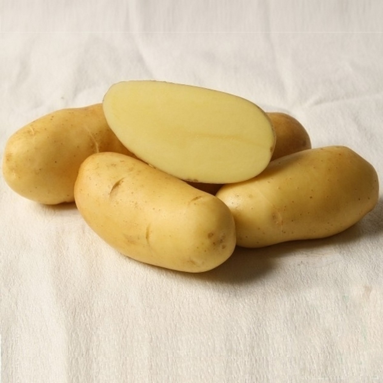 407970-aardappels-altesse