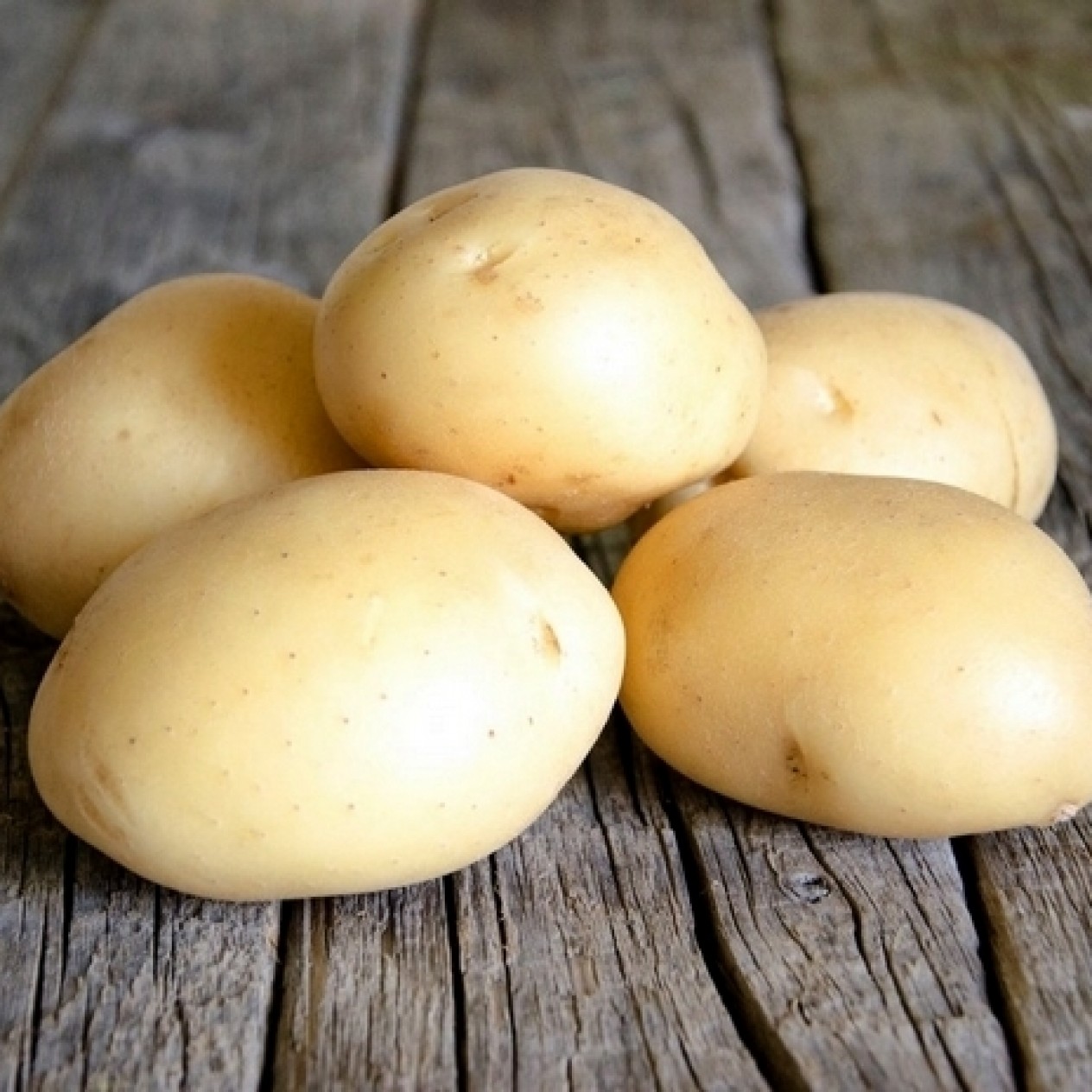 408437-aardappels-montreal