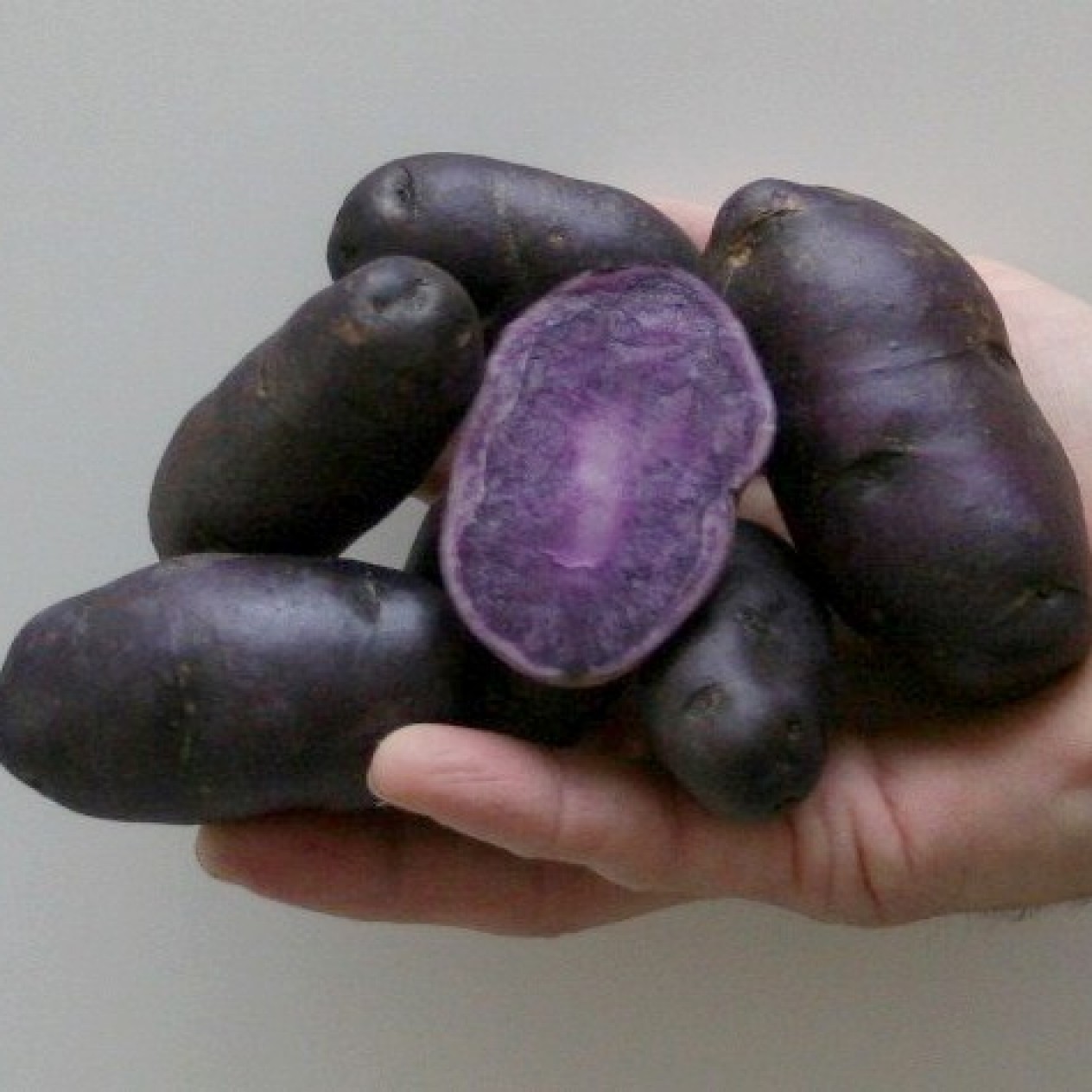 408800-aardappels-bergerac