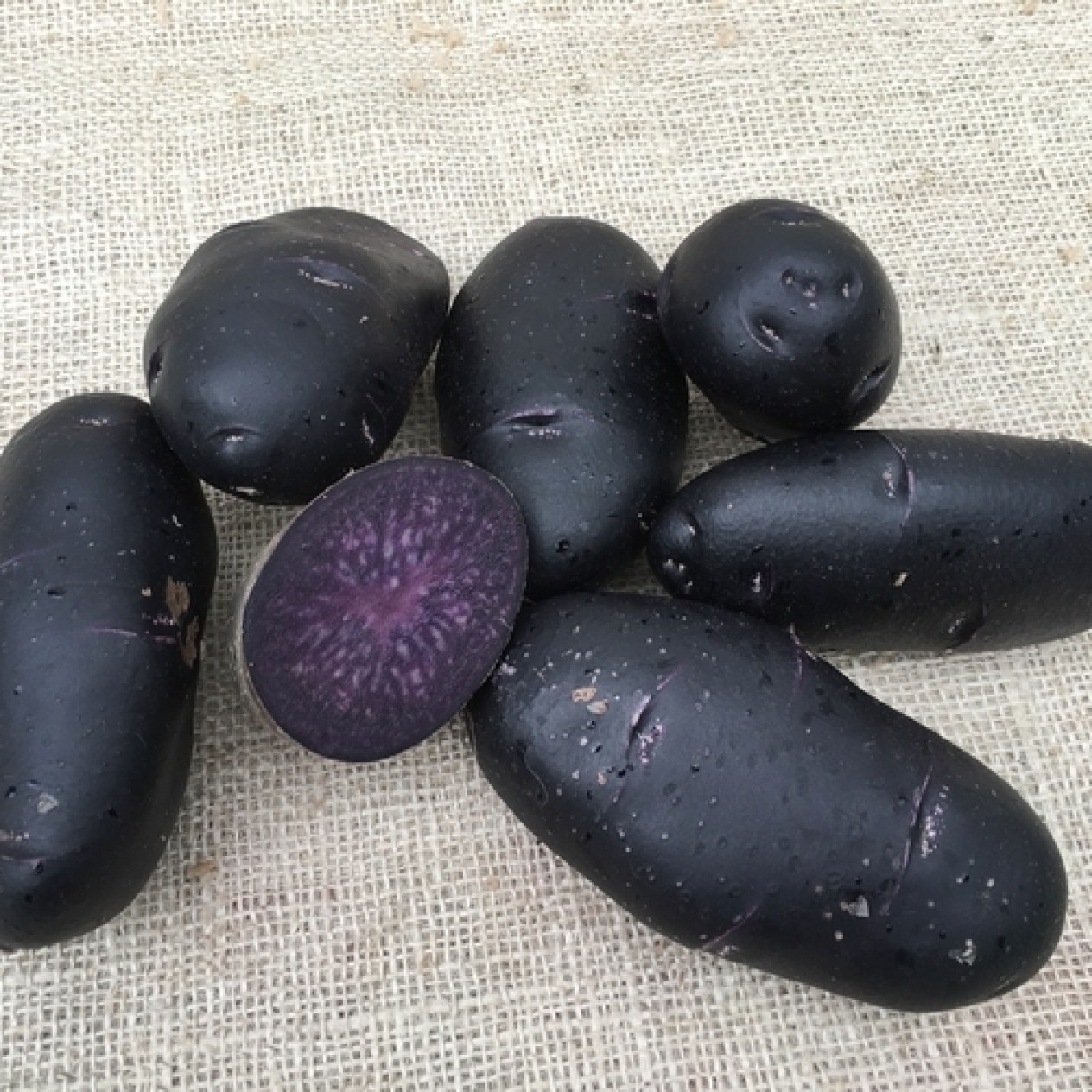 408864-aardappels-purple-rain