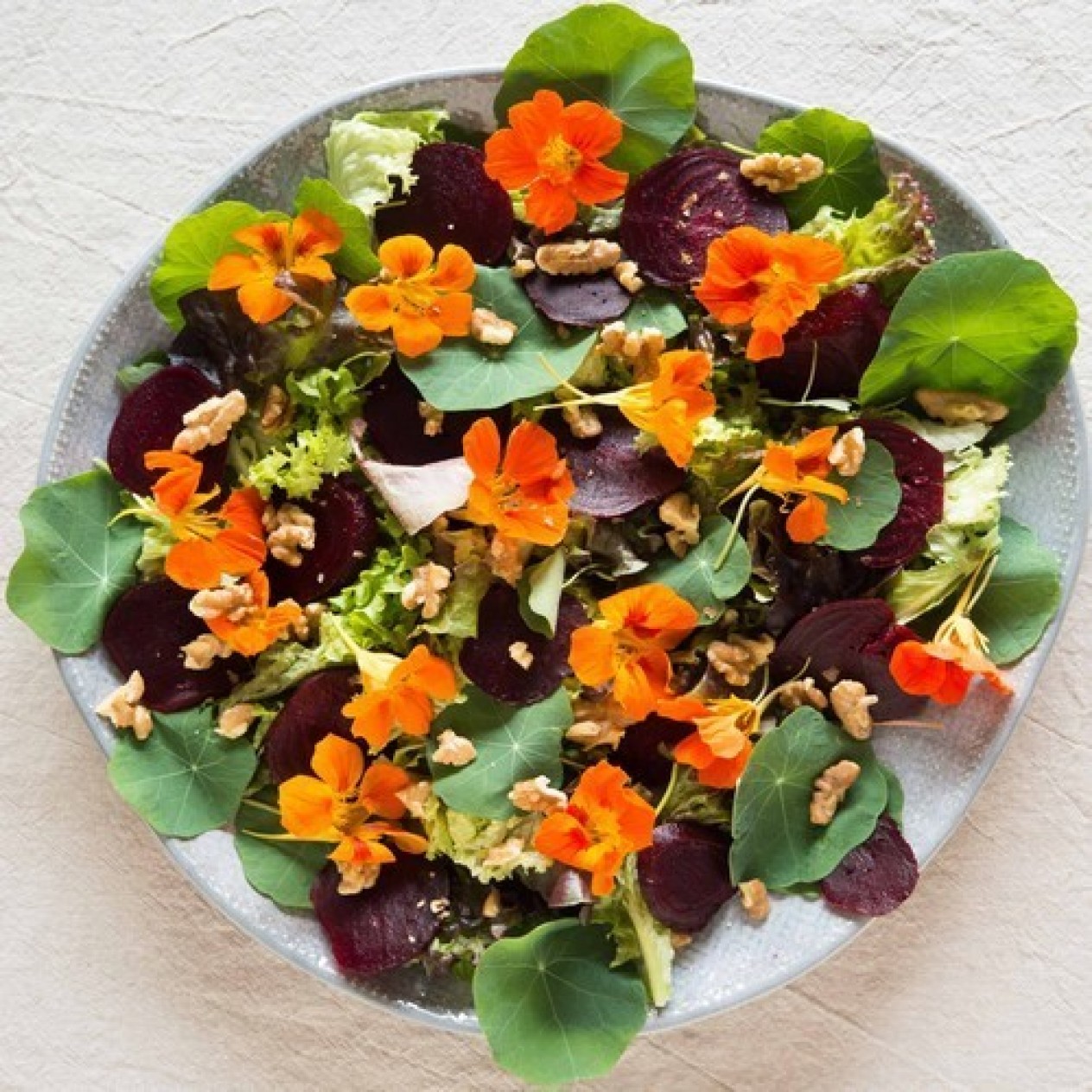 558805-tropaeolum-majus-nanum-field-mixture