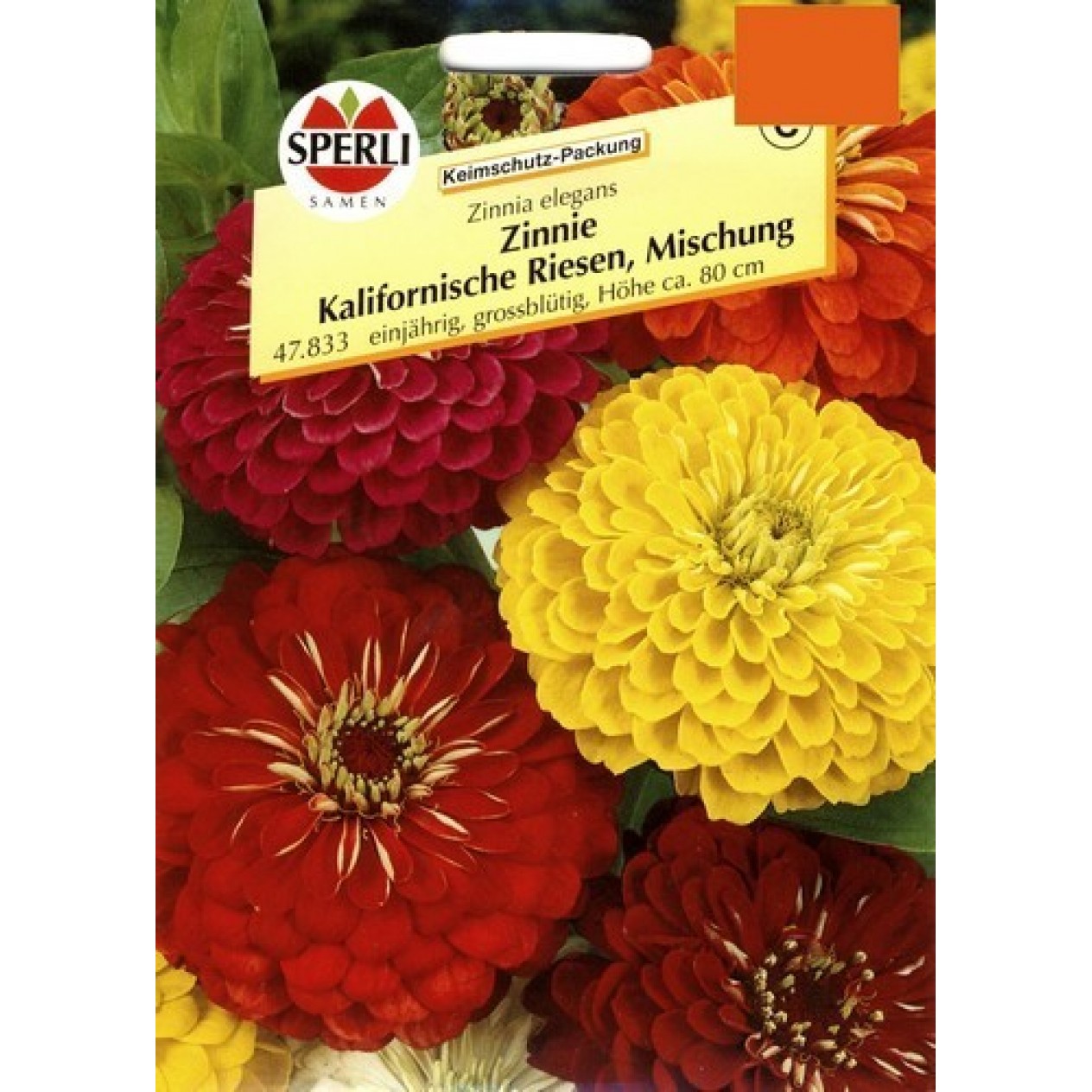561550-zinnia-elegans-californian-giants