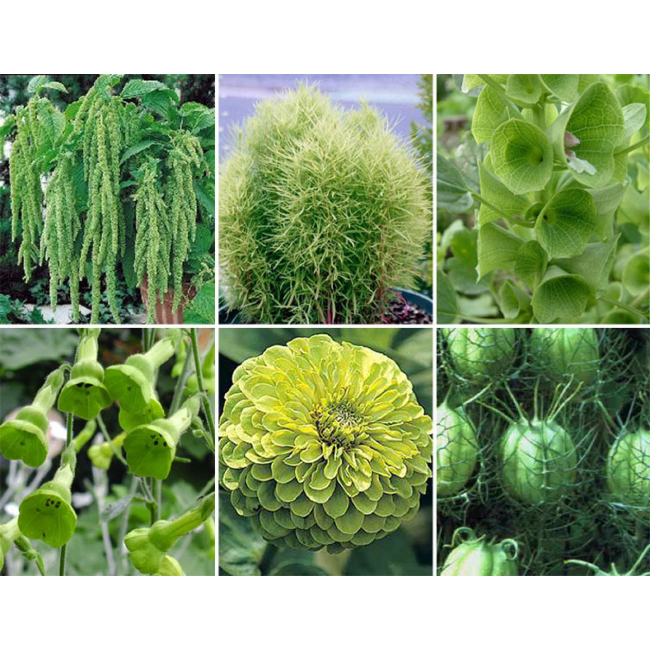 614700-tuinboeket-in-groen