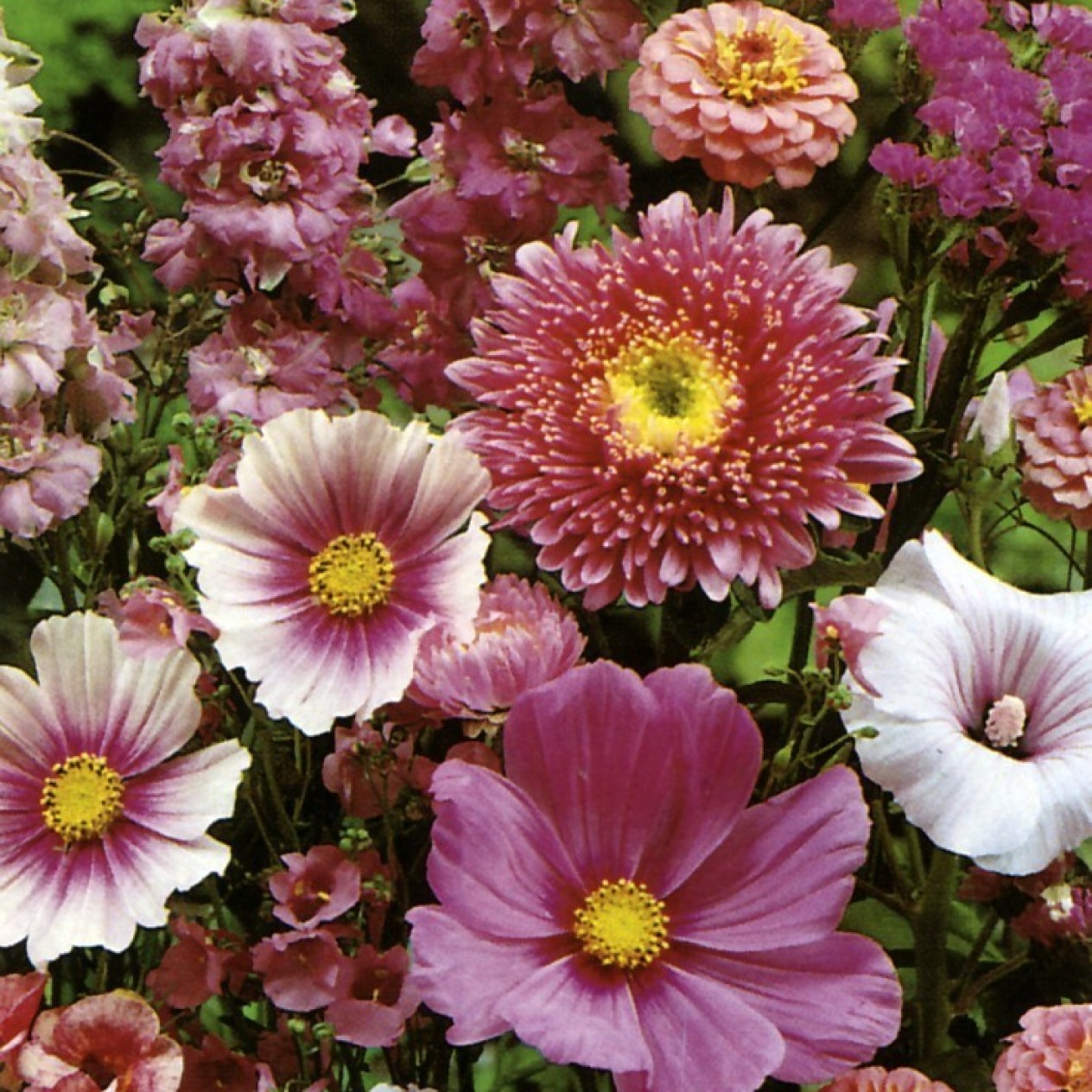 614800-tuinboeket-in-lilarose