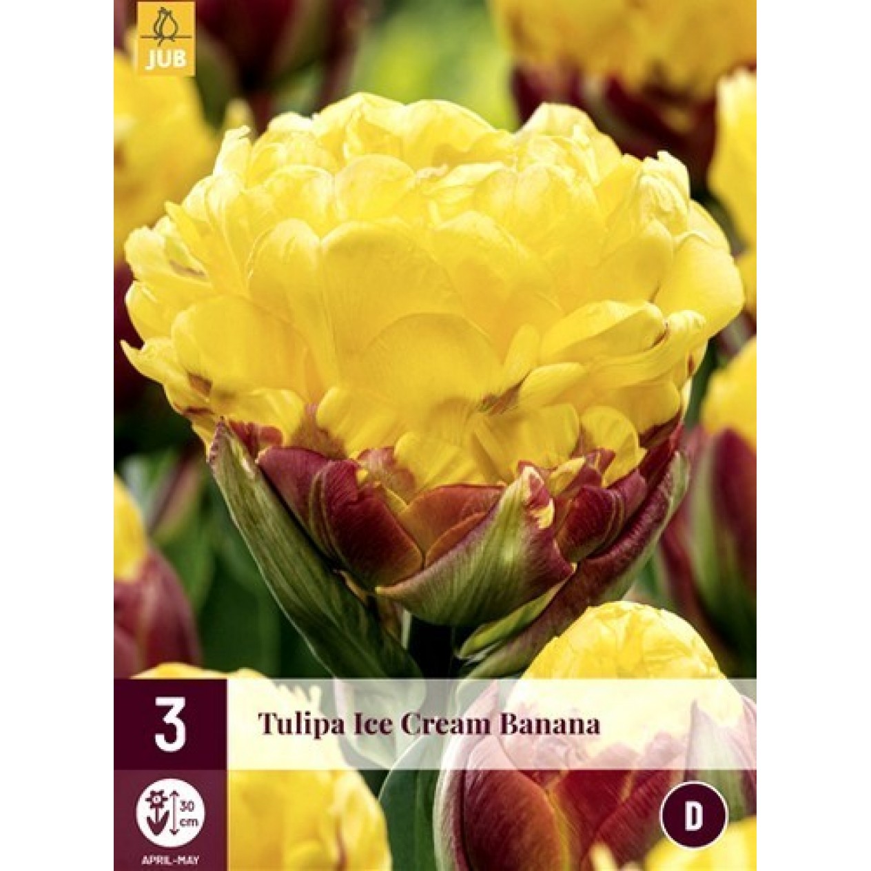 731795-tulipa-ice-cream-banana