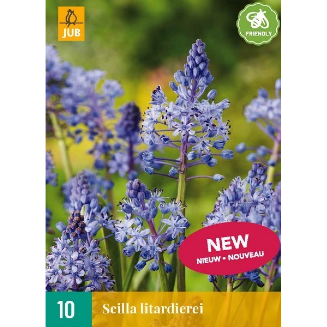736960-scilla-litardierei