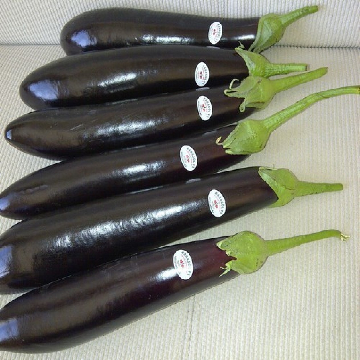 015210-aubergine-paarse-boulanger-tiffany-f1-karagol-f1-haochi-f1-ebony-f1-shoya-long-f1