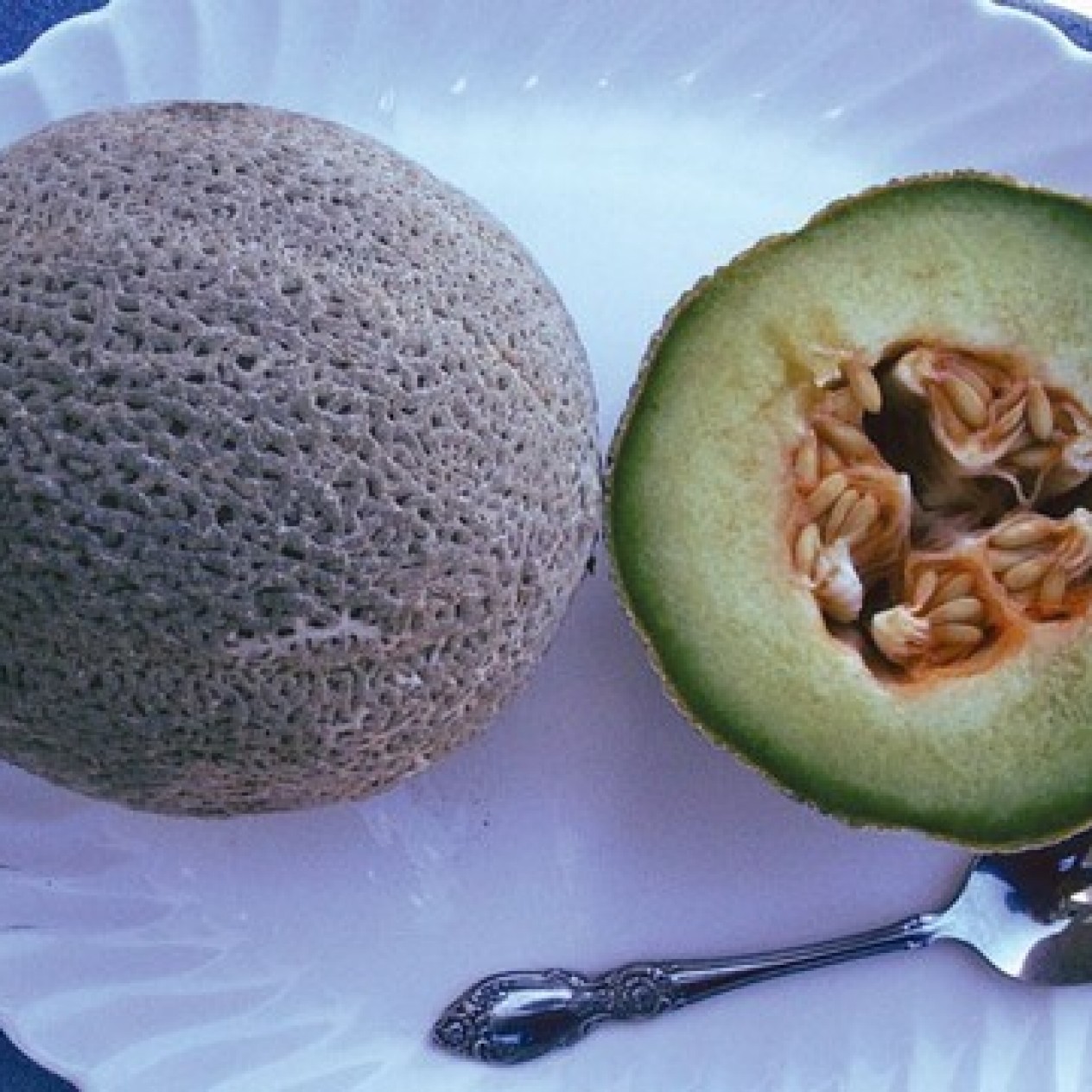 202210-cantaloupmeloen-green-nutmeg