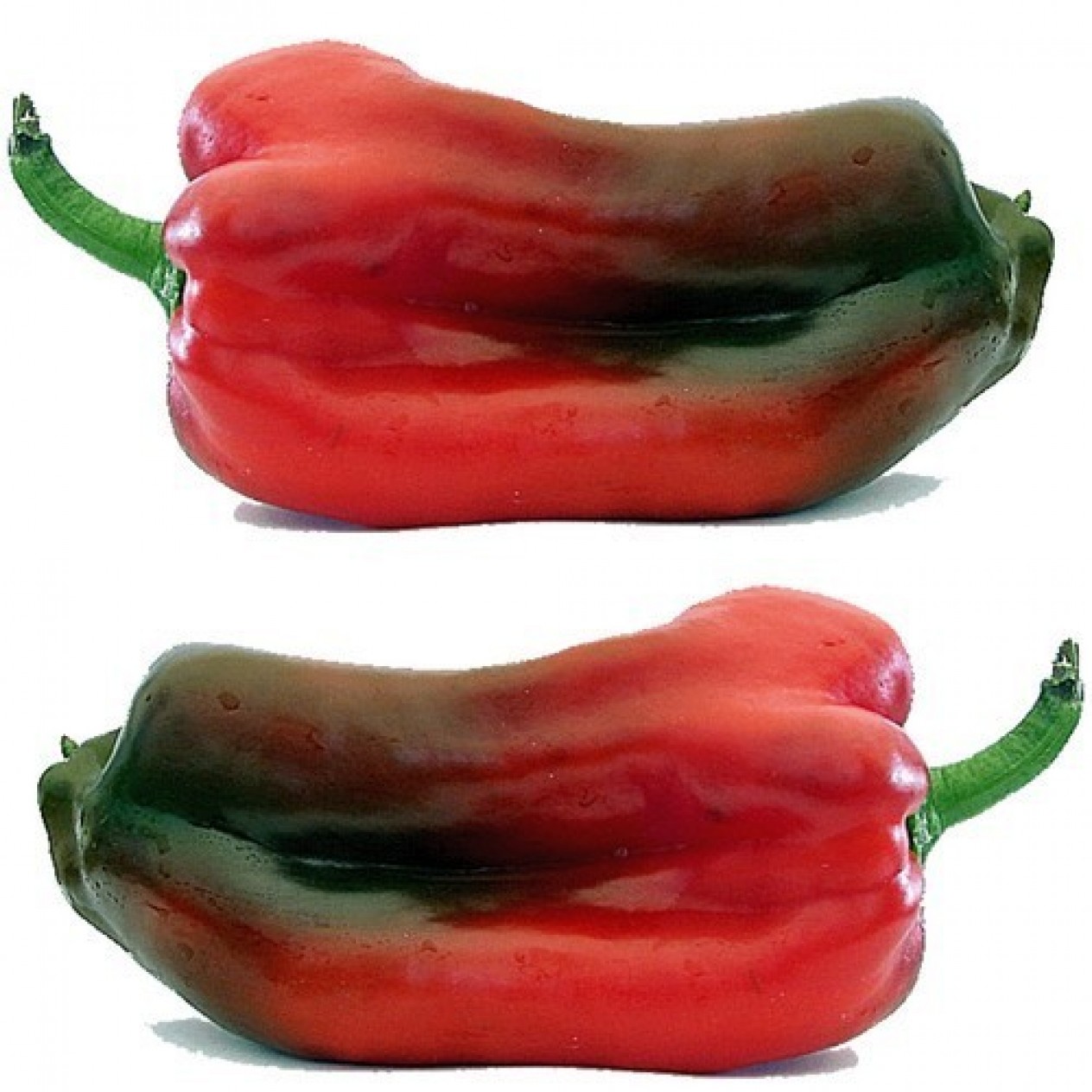 205810-paprika-marconi-rosso