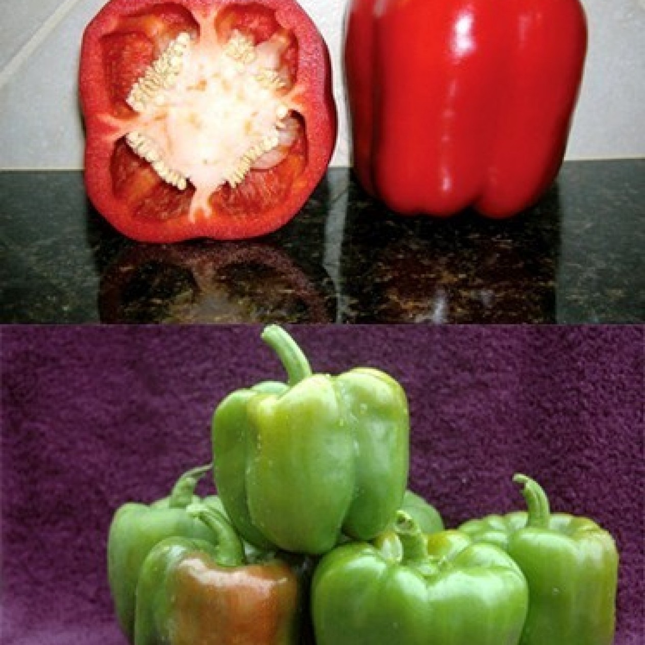 205970-paprika-north-star-f1