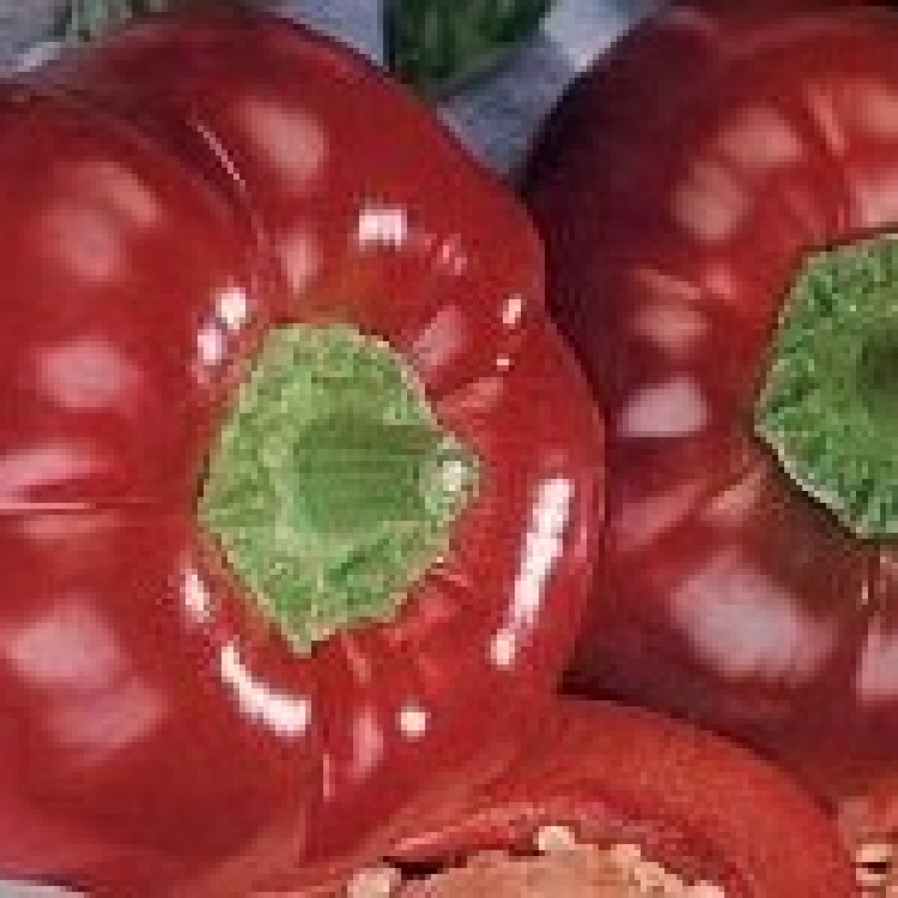 206500-tomaatpaprika-topepo-rosso-liebesapfel