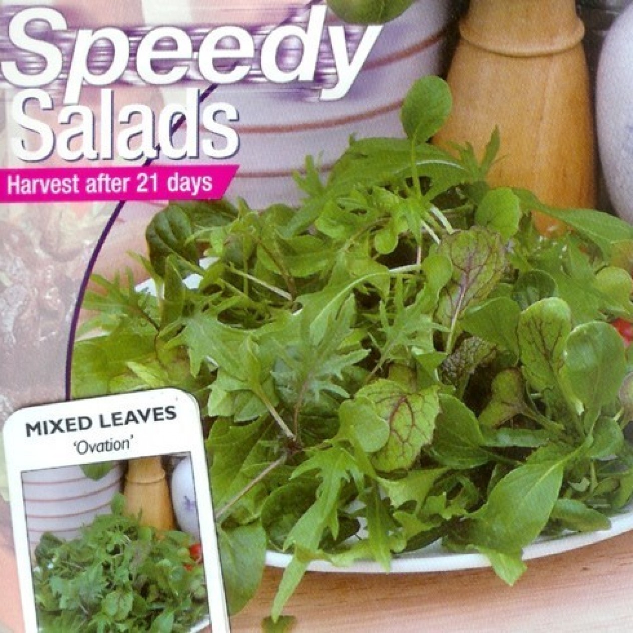 267760-gemengde-bladsalade-ovation