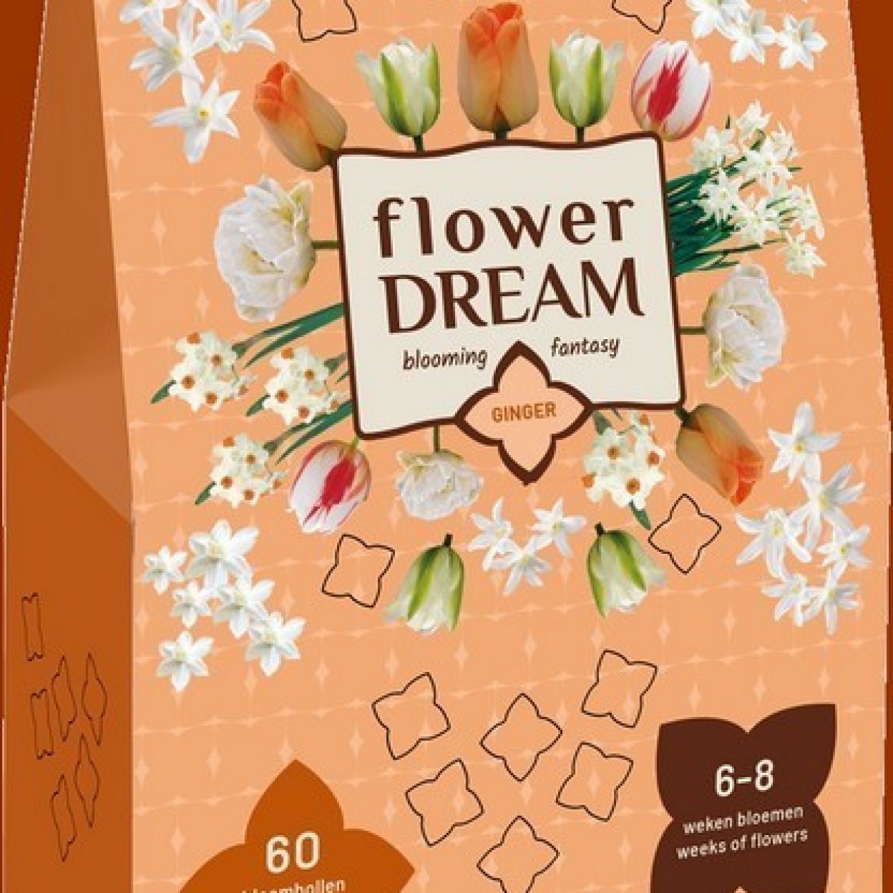 730061-bollenpakket-flower-dream-ginger