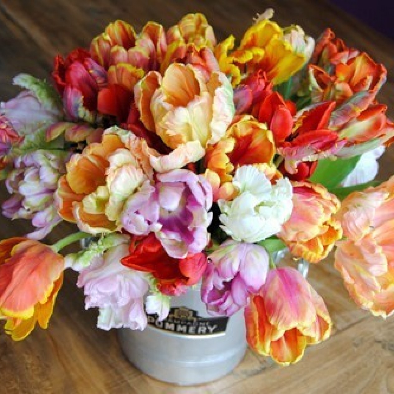 731744-tulipa-mix