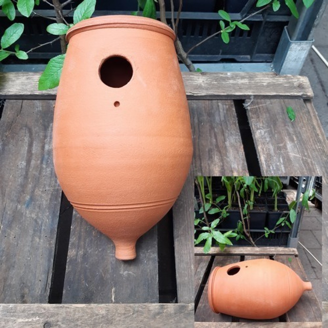 808700-vogelpot-mezenpot-eikelmodel