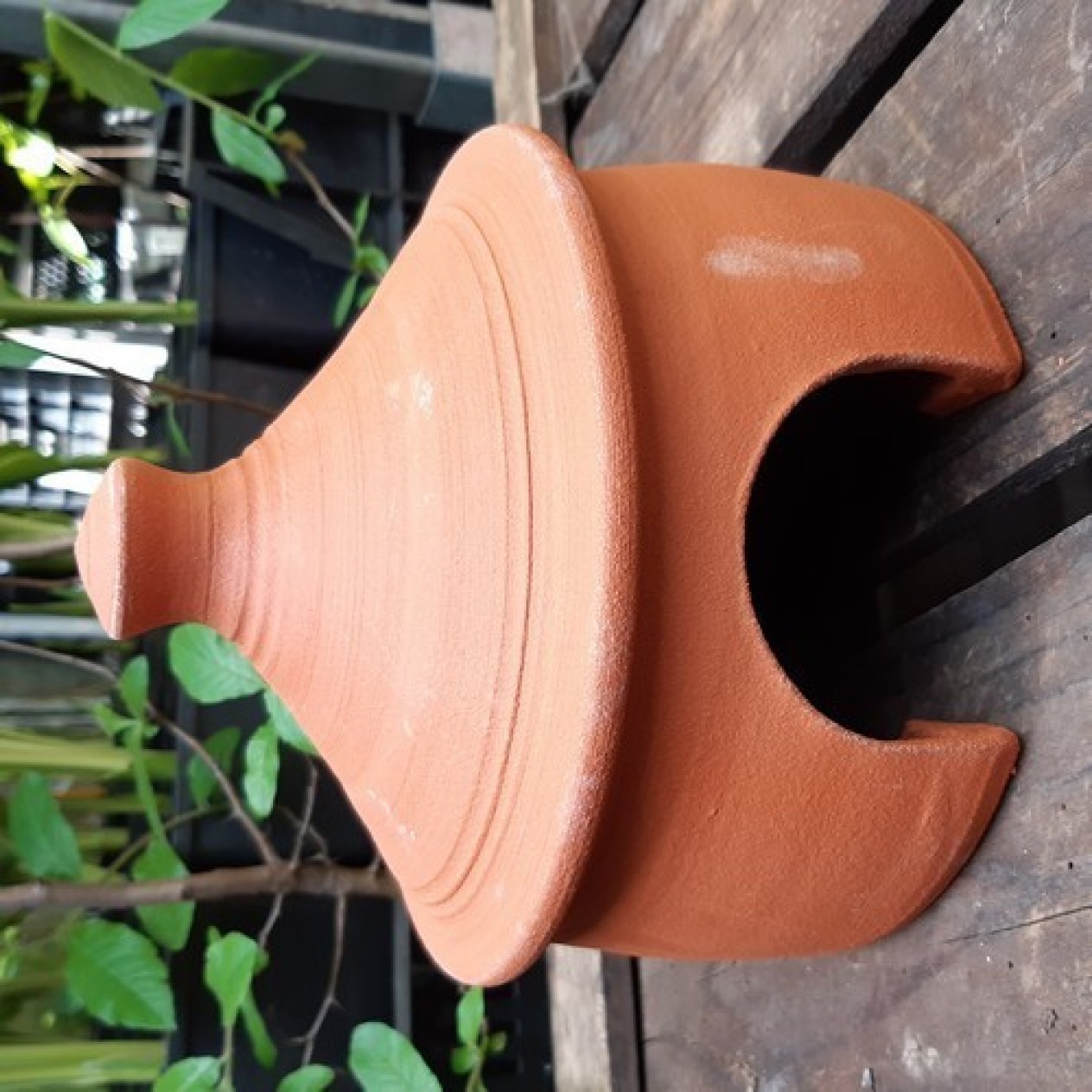 808750-paddenpot