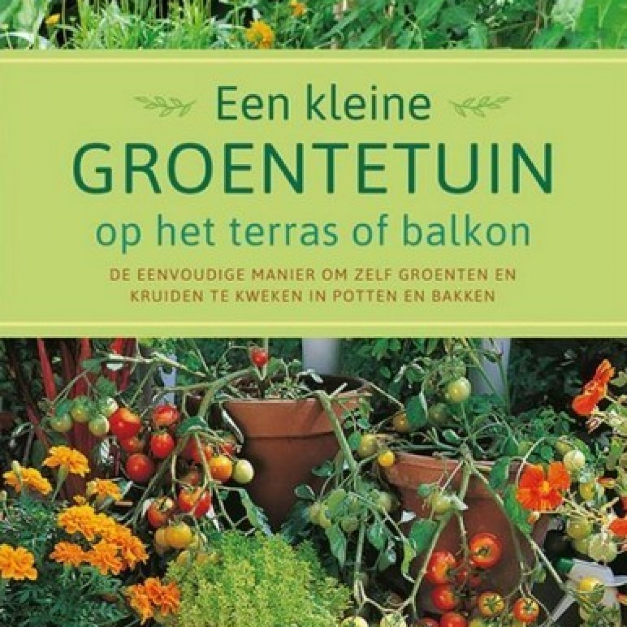 812322-een-kleine-groentetuin-op-het-terras-balkon