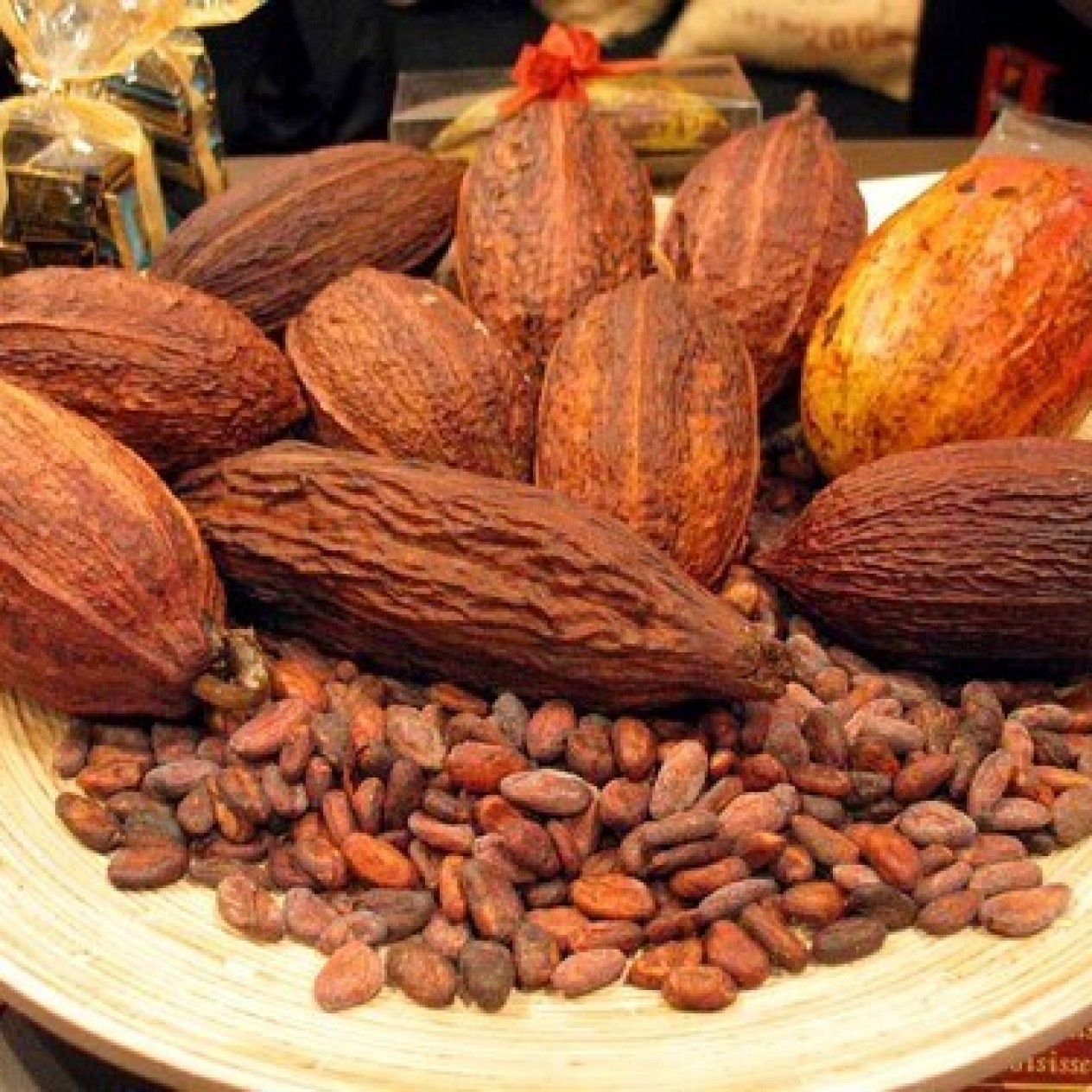 831270-cacaoboom
