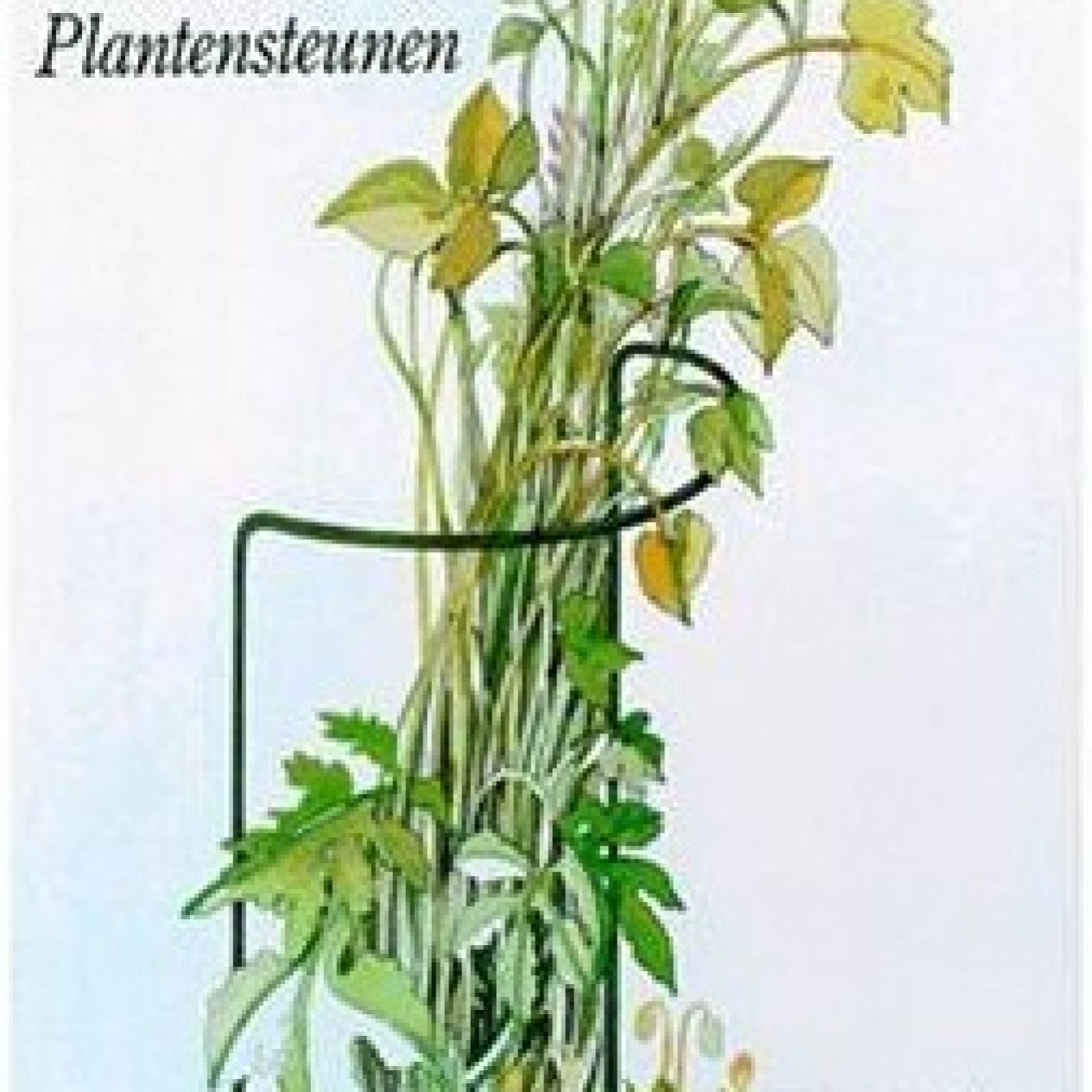 846520-plantensteunen-halfronde-tweepoot-55-cm