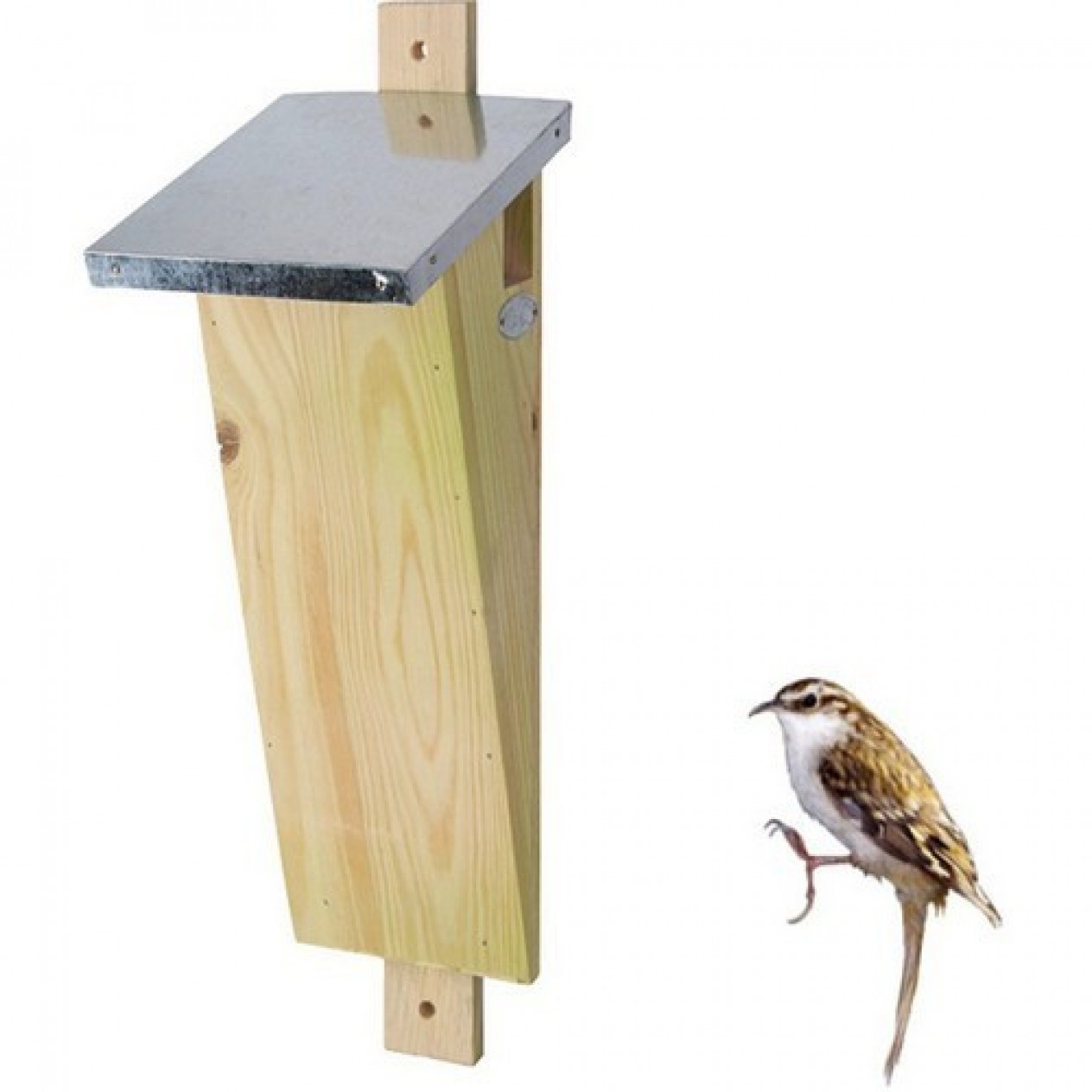 862220-nestkast-boomkruiper