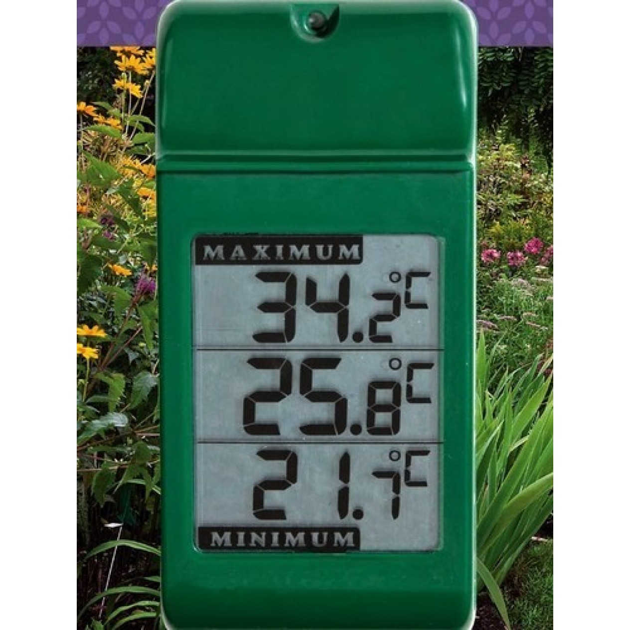809150-thermometers-max-min-wall-w1016