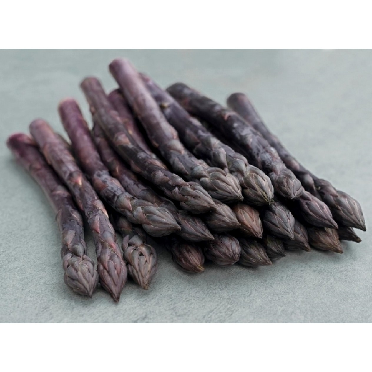 831147-asperge-paarse-erasmus