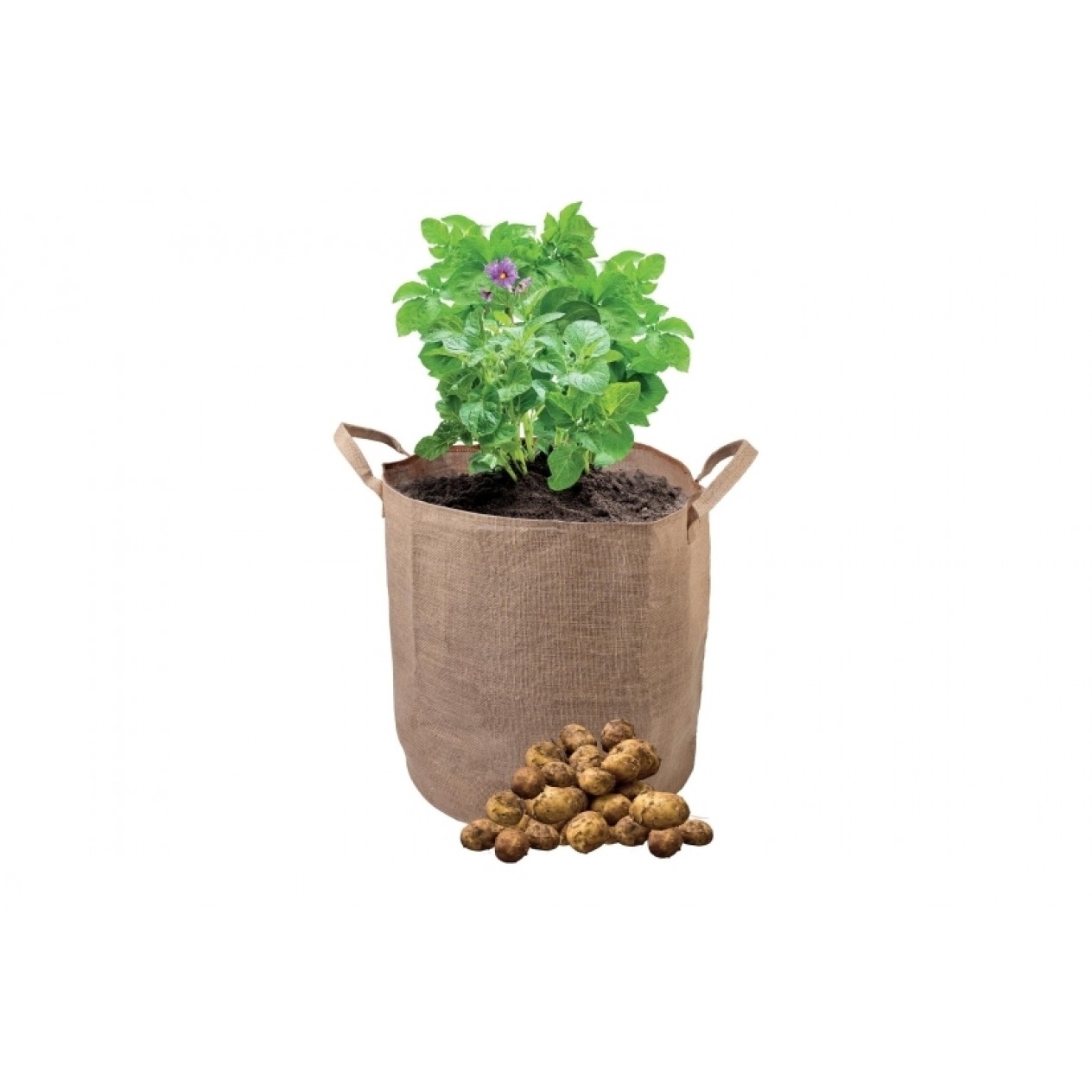 845032-groeizakken-aardappel-groeizak-w0489