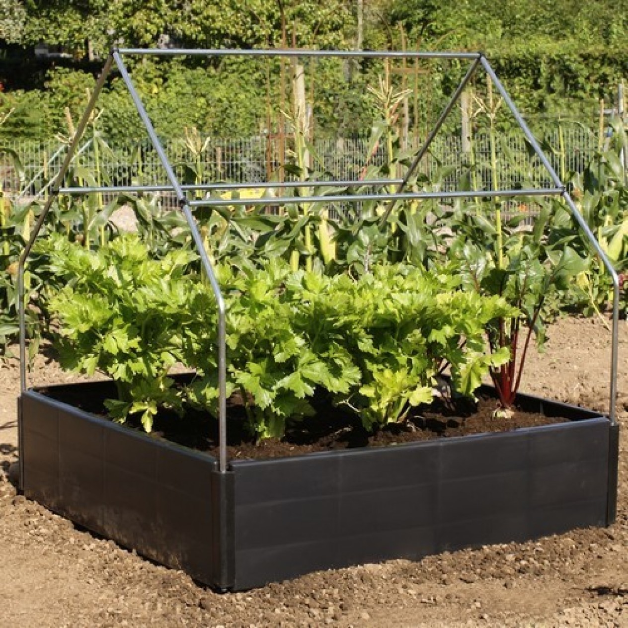 845208-onderdeel-verhoogd-plantenbed-frame-g117-voor-bed-g94