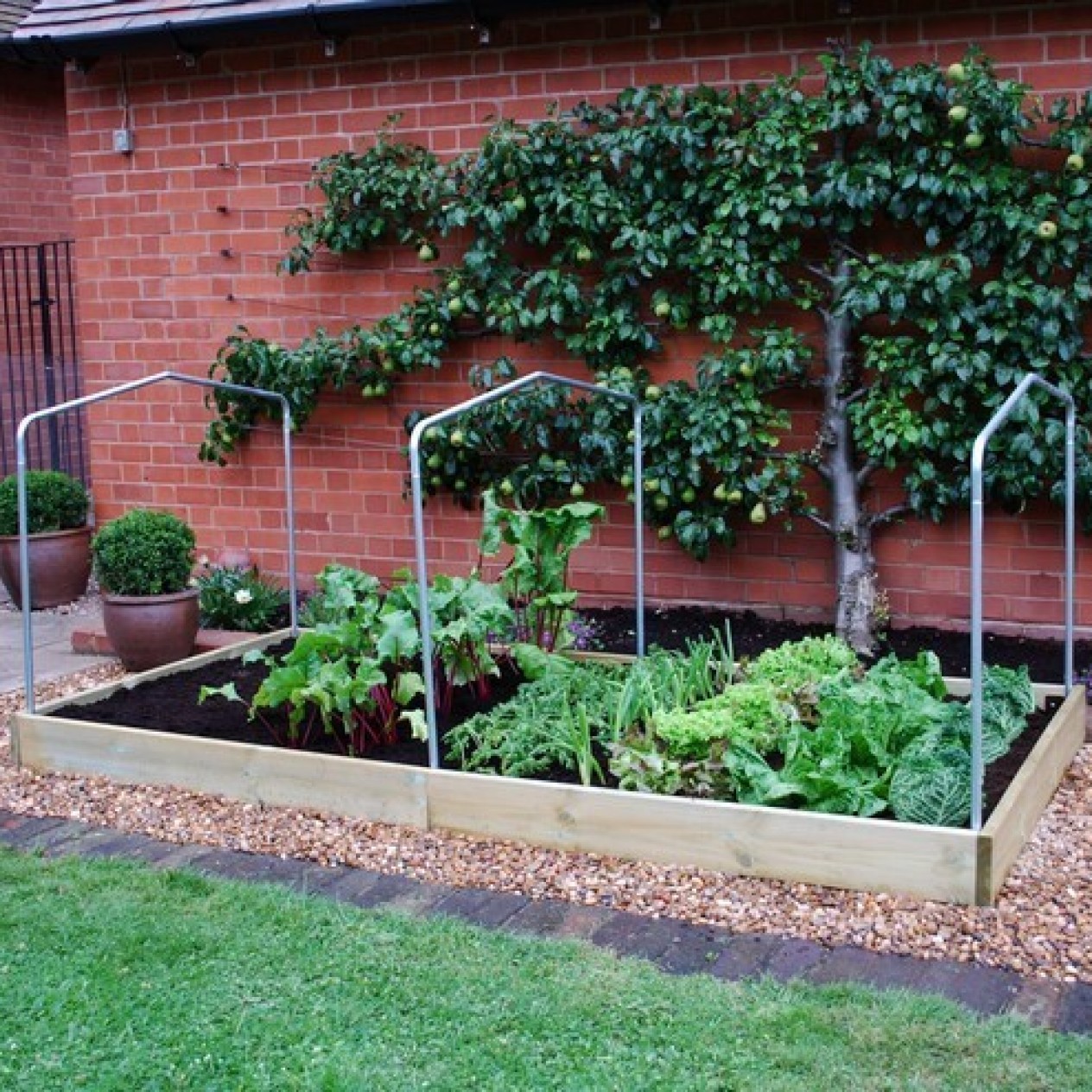 845235-onderdeel-verhoogd-plantenbed-tentkoepel-houten-plantenbed-g123