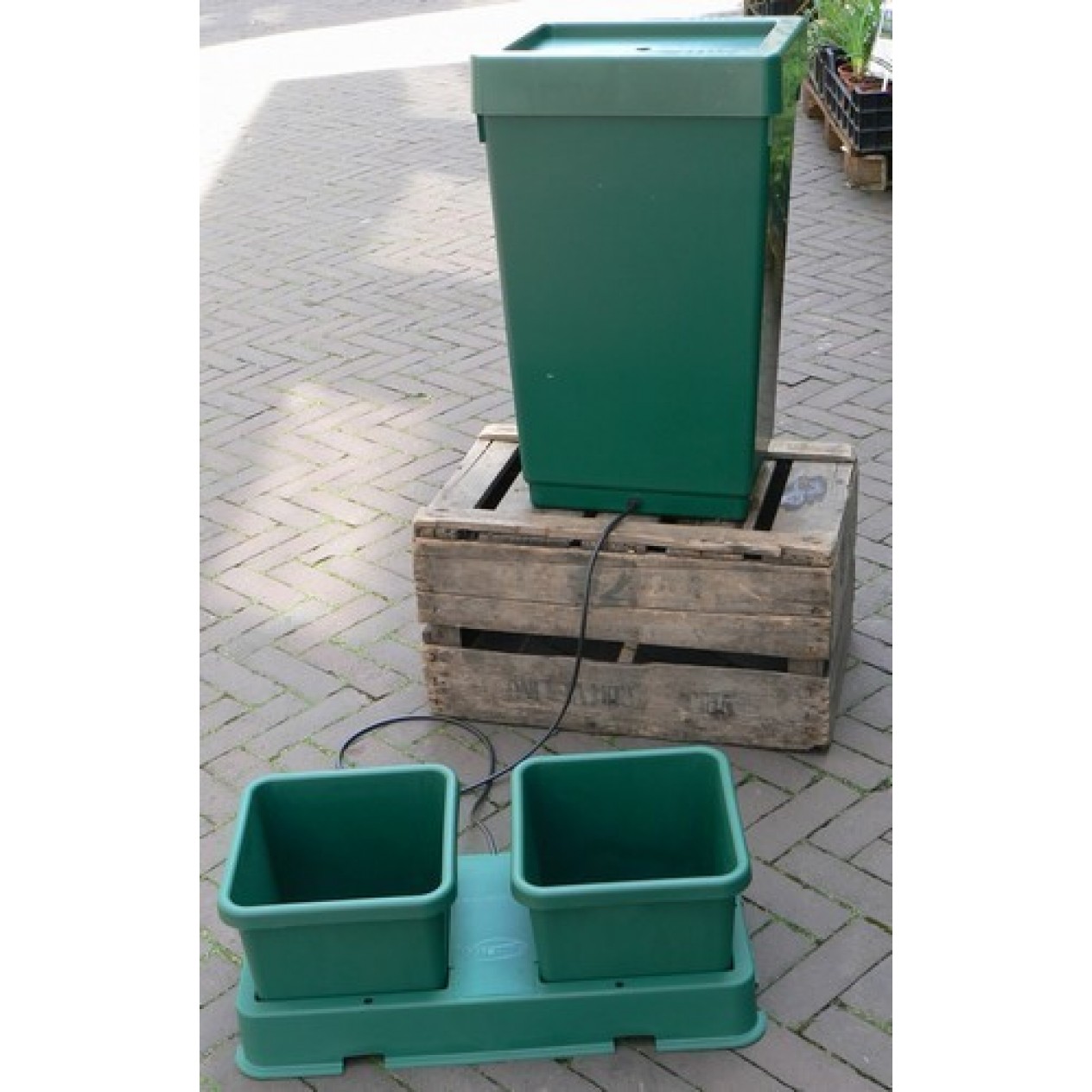 845400-watergeefsysteem-easy2grow-kit-compl-set-potten-g107b