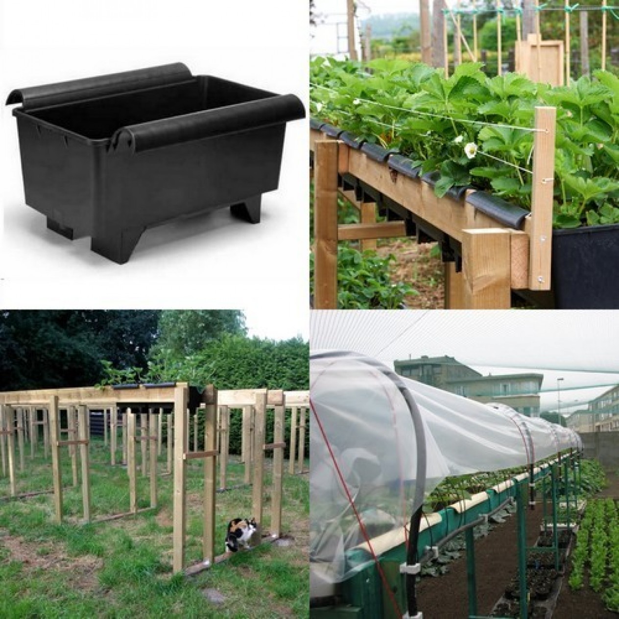846190-aardbeienbak-bato