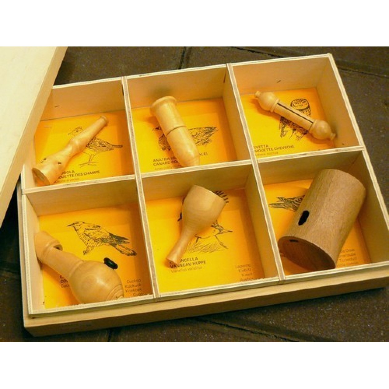 860570-vogelroepertje-set-van-soorten