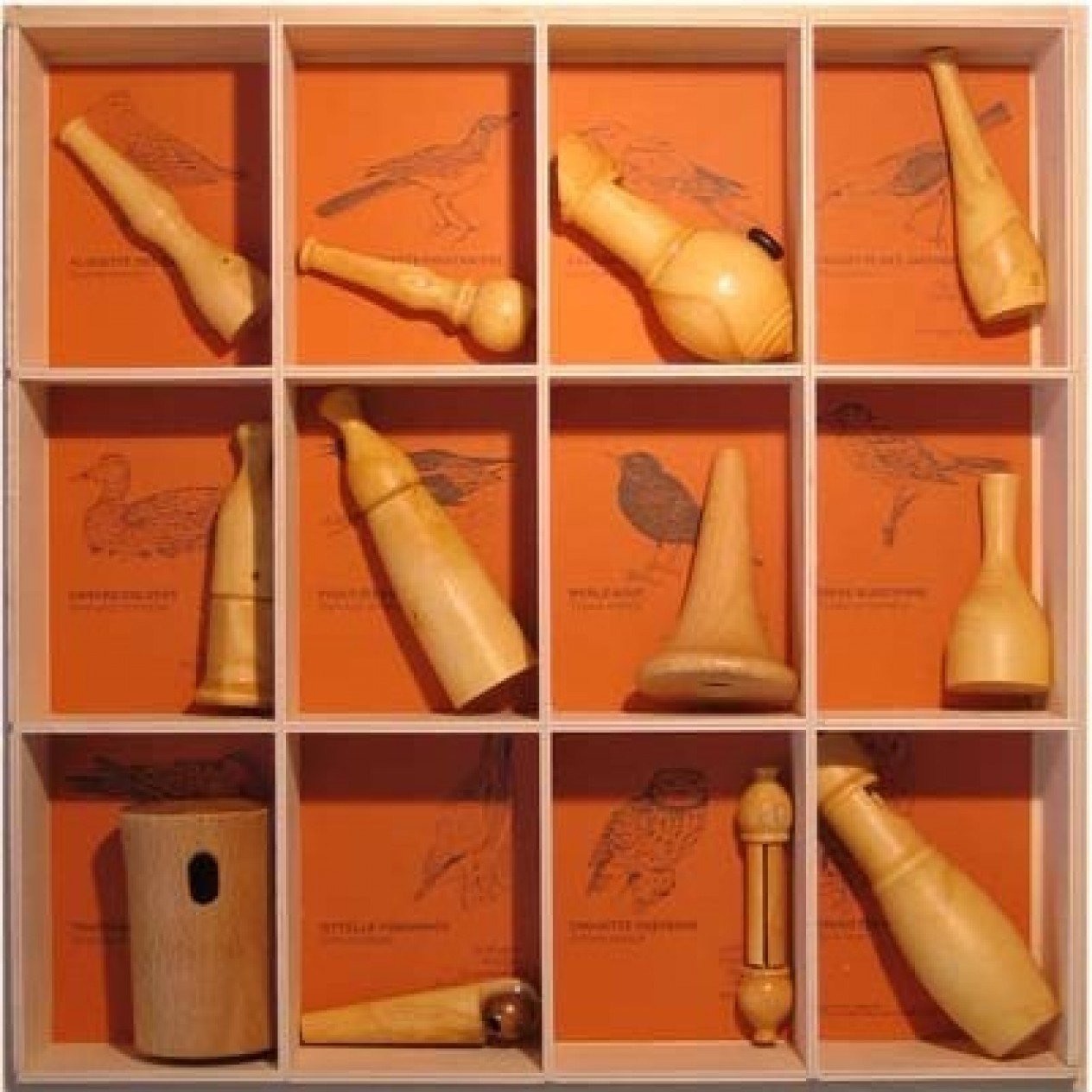 860600-vogelroepertje-set-van-12-soorten