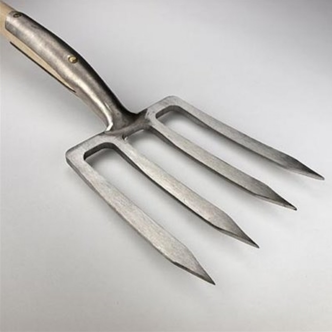 875008-dames-vork-tand