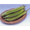 015160-indiase-aubergine-green-knight-f1