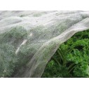 803400-tegen-insecten-koolvliegengaas