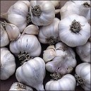 306117-knoflook-red-toch-tochliavri
