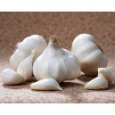306128-knoflook-rustisem