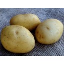 401575-aardappels-vitabella