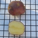 401710-aardappels-blauwe-eigenheimer