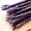 831145-asperge-paarse-purple-passion-sweet-purple