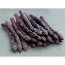 831147-asperge-paarse-erasmus
