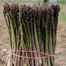 831150-asperge-wilde