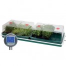 809427-verwarmde-zaaikasjes-verwarmde-kweekkas-thermostaat-g194